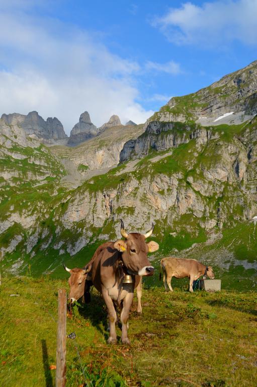 Landgasthof Ledererwirt Ebbs Ngoại thất bức ảnh