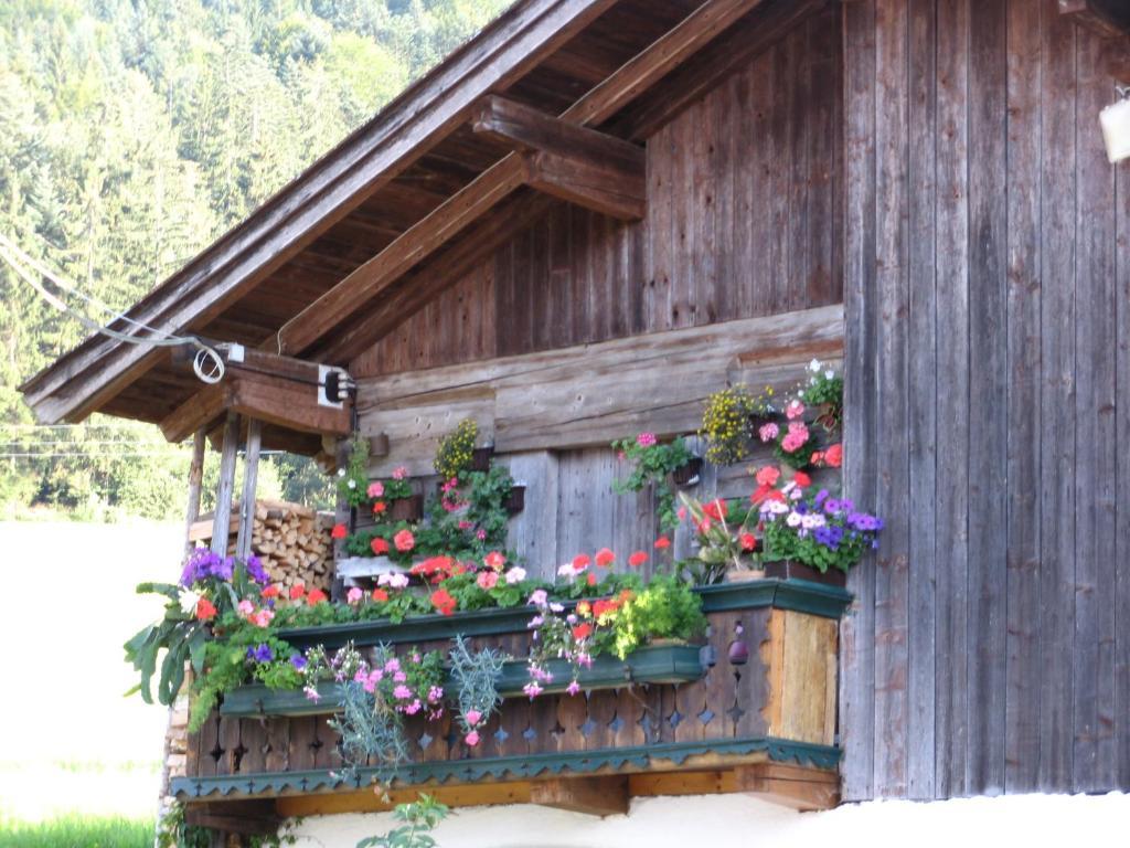 Landgasthof Ledererwirt Ebbs Ngoại thất bức ảnh